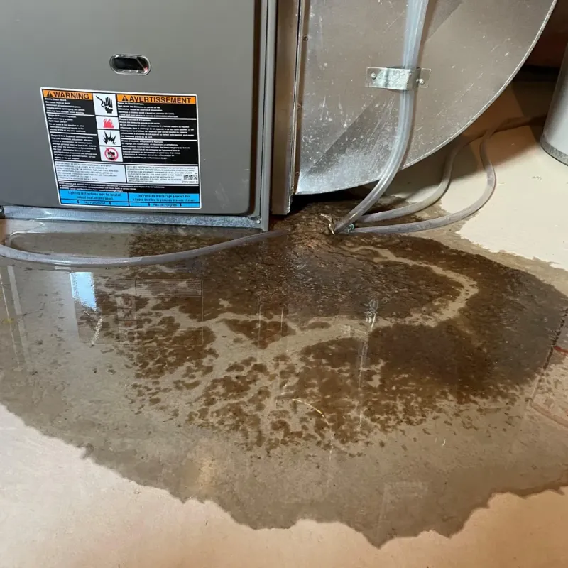 Appliance Leak Cleanup in Grant County, IN